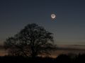 Earthshine, Mercury and Pleaides