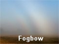 Fogbow Images