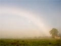 Fogbow