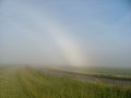 Fogbow