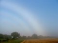 Fogbow