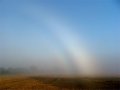 Fogbow