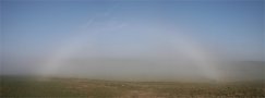 Fogbow High and Low