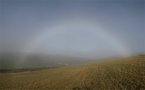 Fogbow Polarisation Comparison