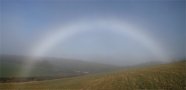 Fogbow Polarisation Composite