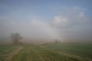 Shallow Fogbow