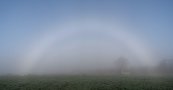 Spring Fogbow