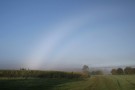 Autumn Fogbow