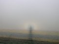 Glory Polarisation