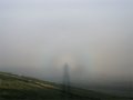 Large Glory Polarisation