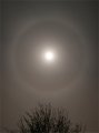 Full Lunar 22 Degree Halo