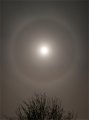 Full Lunar 22 Degree Halo