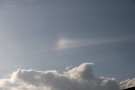 Sundog in halo display