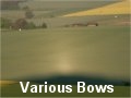 Various Bow Images