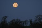 Moon and Earth Shadow