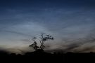 Noctilucent Cloud - 16th June 2009