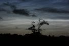 Noctilucent Cloud - 14th July 2009