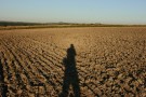 Opposition Effect on a Ploughed Field