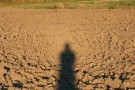 Opposition Effect on a Ploughed Field