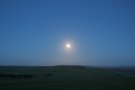 Moonlight Scatter Path