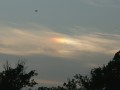 Evening Sundogs