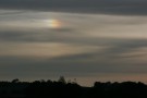 Murky Evening Sundogs