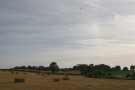 Harvest Sundogs