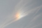 Harvest Sundogs