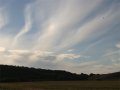 Summer Sundogs