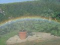 Spraybow - Garden